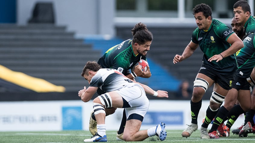 Touro invade campo durante partida de rugby na França; veja