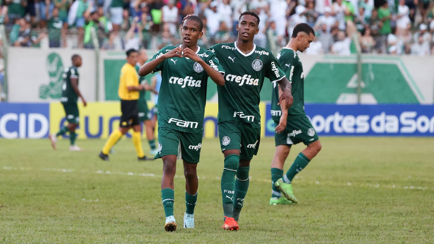 GOLS! Assista lances da vitória do Palmeiras diante do São José