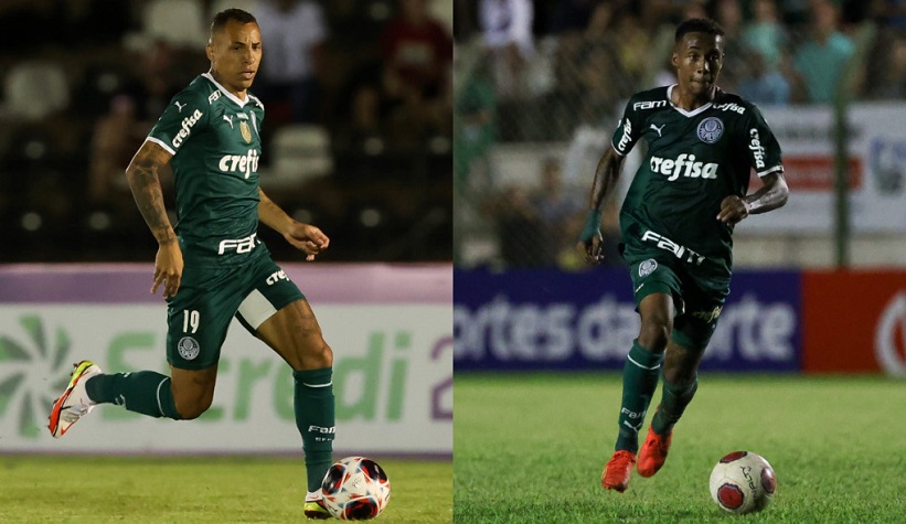 Palmeiras x Goiás pela Copinha terá entrada gratuita no Allianz Parque;  saiba como obter os ingressos - Lance!