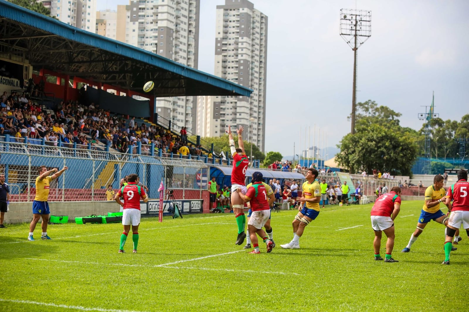 Touro invade campo durante partida de rugby na França; veja