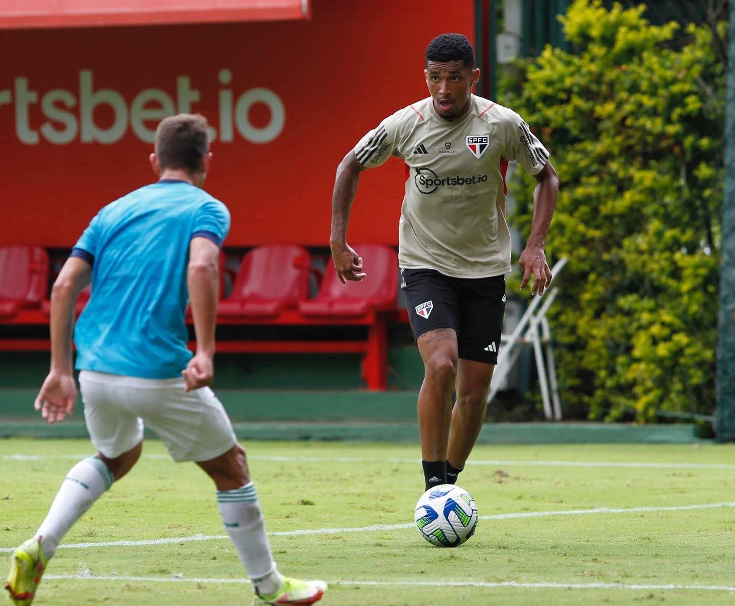 Argentina x Equador: onde assistir ao vivo o jogo hoje (07/09) pelas  eliminatórias da Copa do Mundo, Futebol