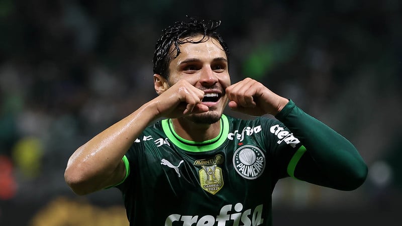 SE Palmeiras on X: AAAE, O MEU PALMEIRAS GANHOU! 🐷 Três clássicos e três  vitórias! Com gols de Raphael Veiga e Danilo, vencemos o Derby no Allianz  Parque e garantimos a liderança