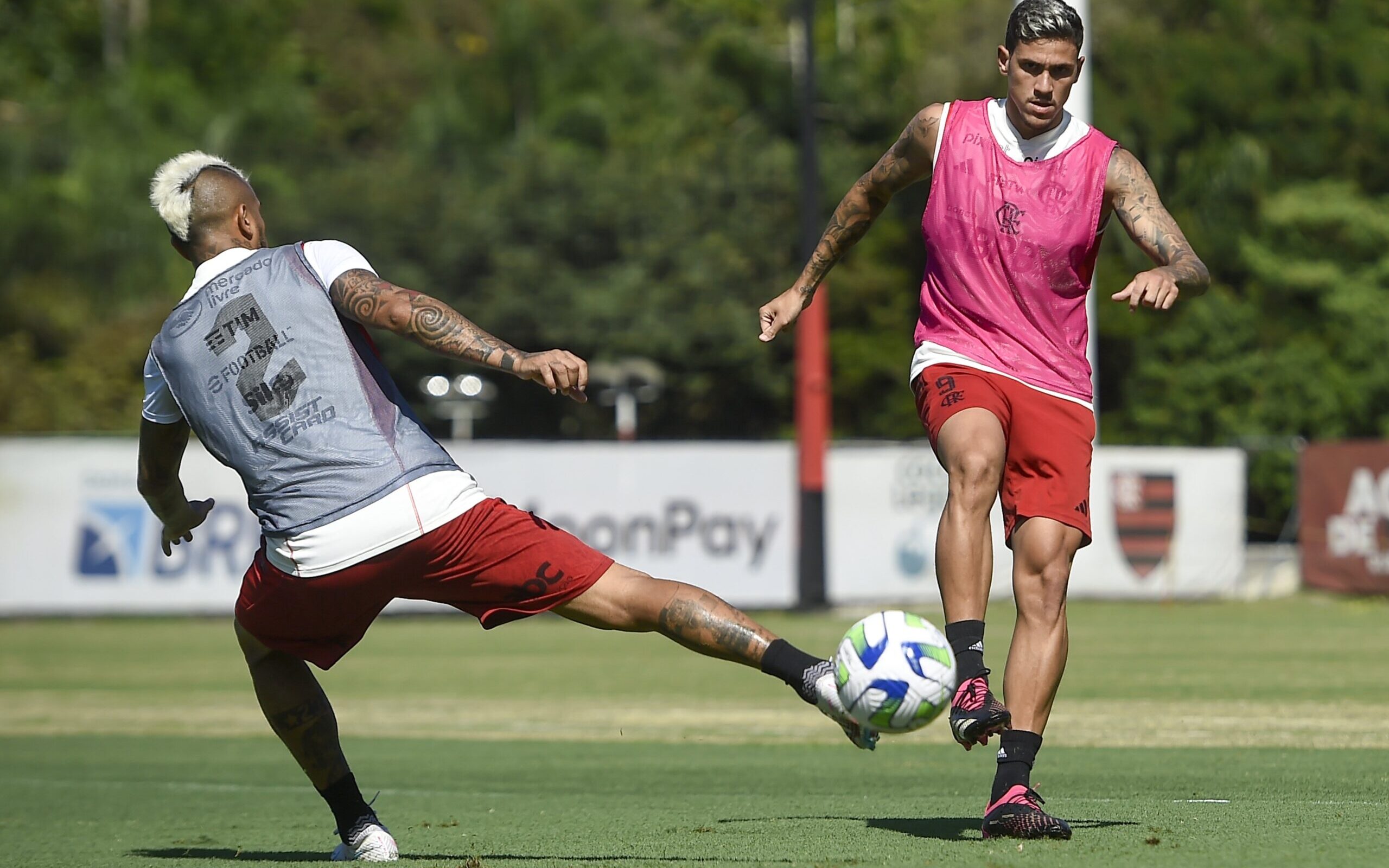 Flamengo x Goiás: onde assistir ao vivo, horário e escalações do jogo pelo  Brasileirão - Lance!