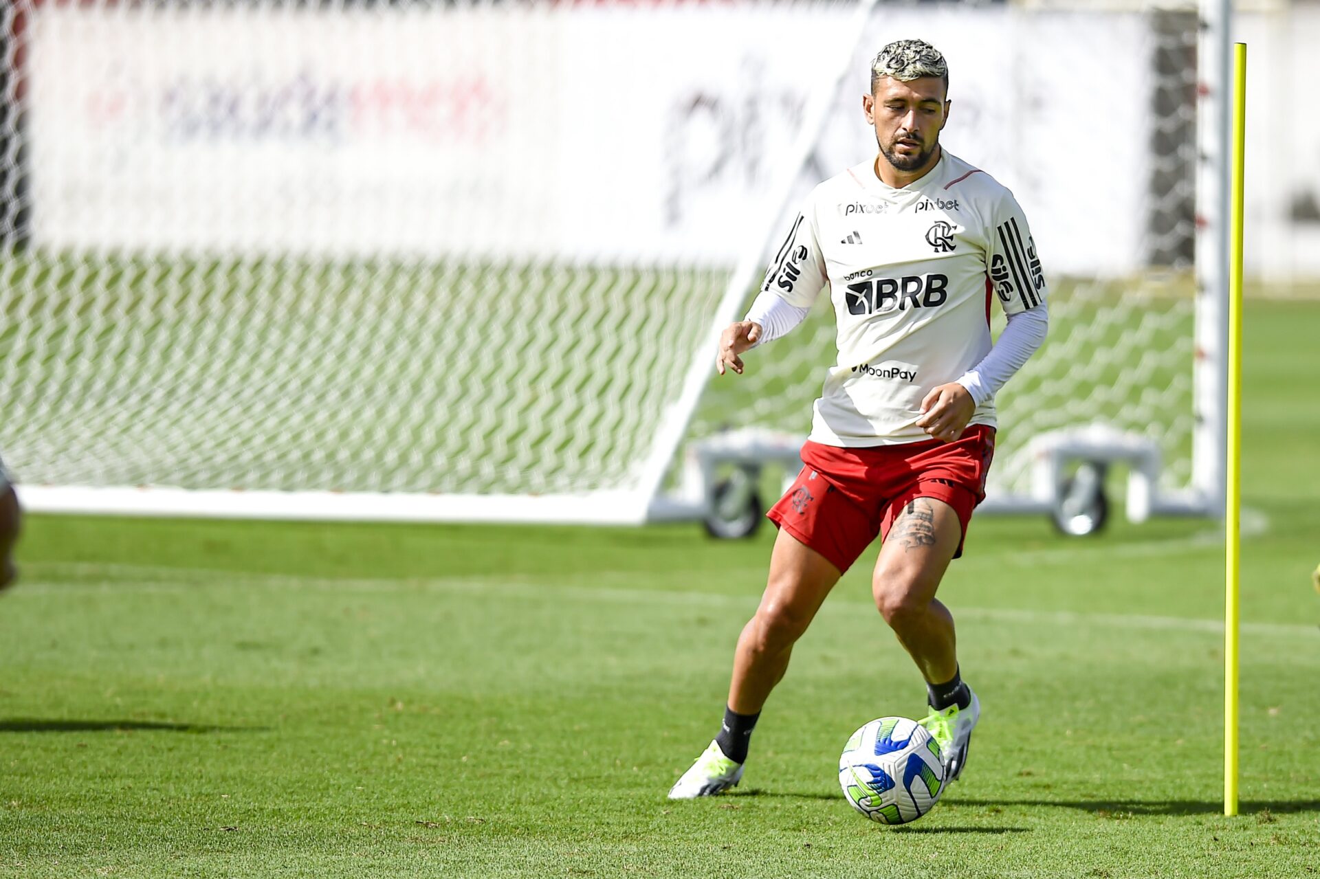 Relacionados do Flamengo: titulares ficam fora até do banco para a partida  contra o Atlético-MG, flamengo