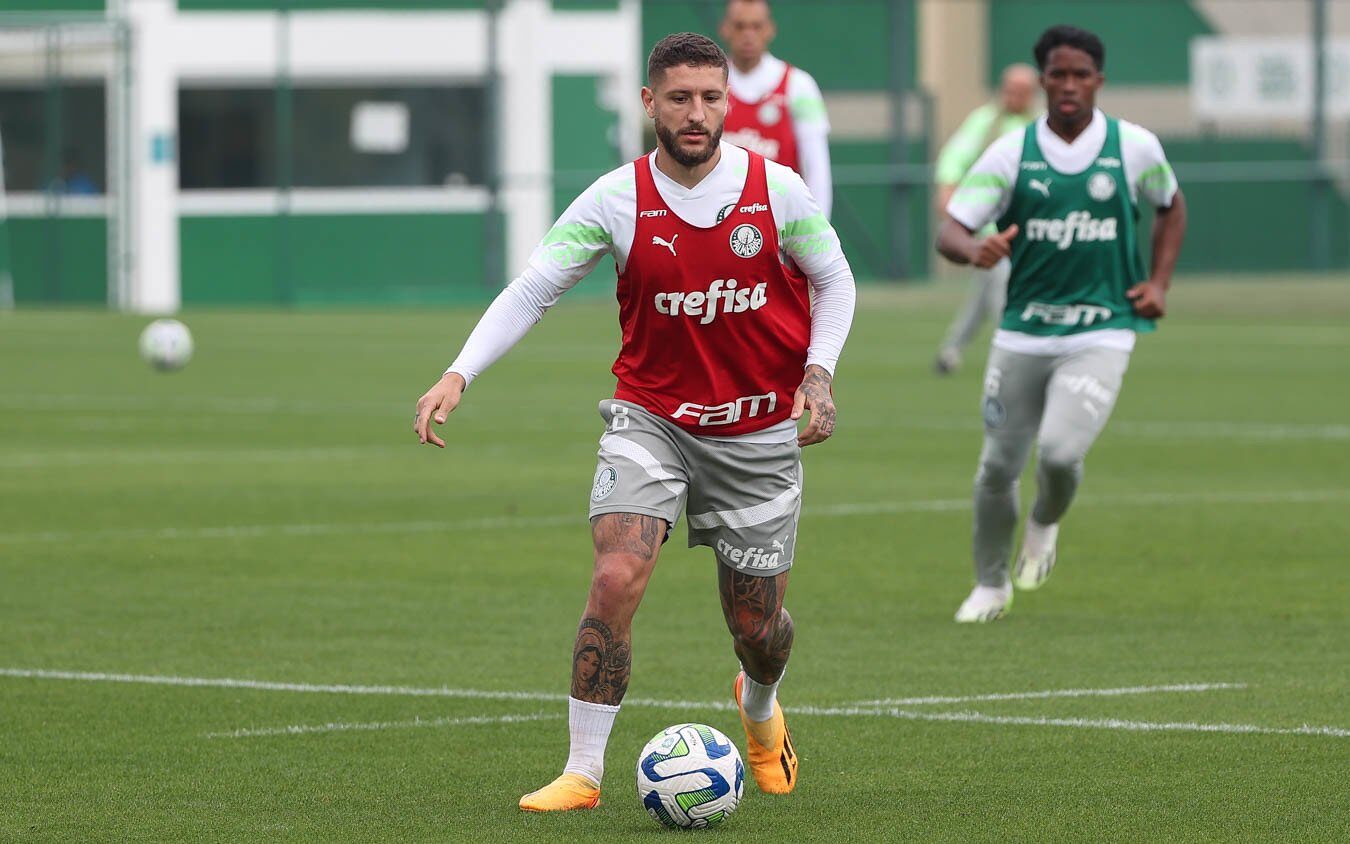 Torcida do Palmeiras prepara mosaico para jogo diante do Deportivo Pereira  - Lance!
