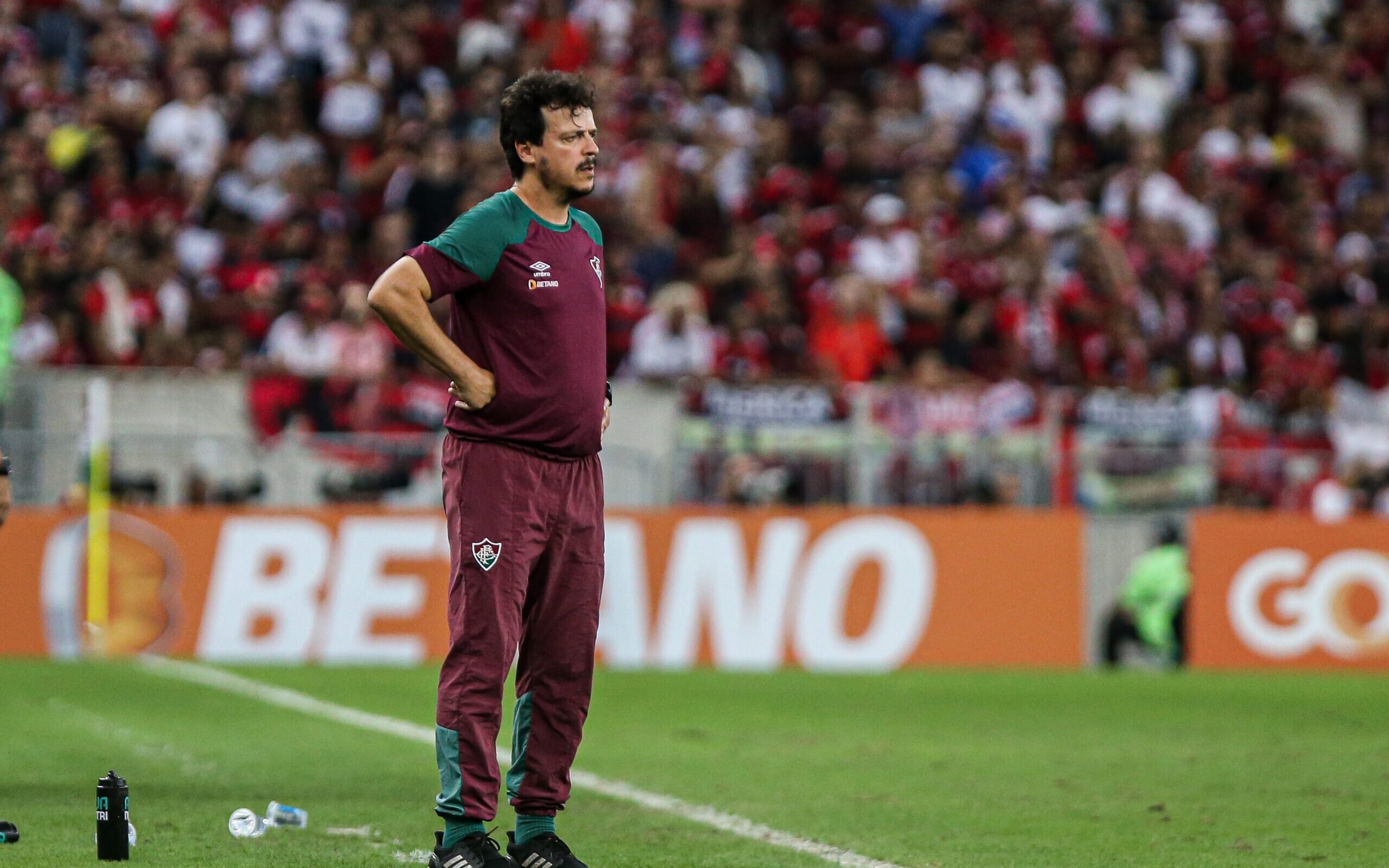 Diniz avalia que Fluminense 'conseguiu fazer um grande jogo' no empate com  Palmeiras - 08/05/2022 - UOL Esporte