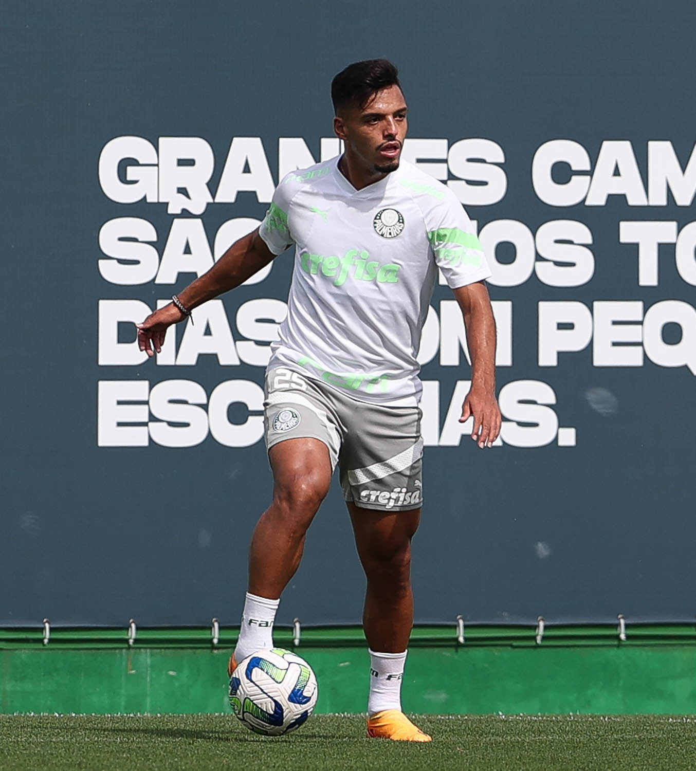 Palmeiras se reapresenta com treino técnico após classificação à