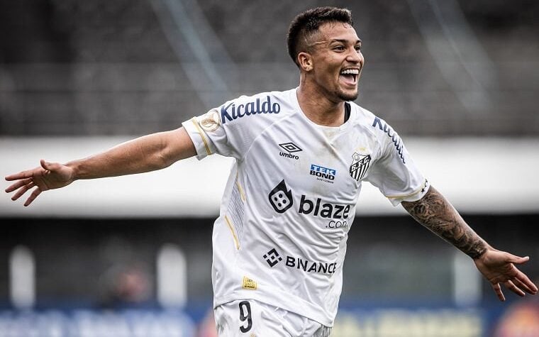 Os sete pecados capitais que podem rebaixar o Santos - Lance!