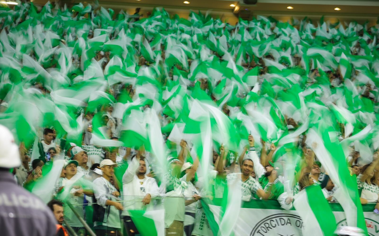 Palmeiras anuncia entrada gratuita na final do Paulista Feminino; saiba  como conseguir o ingresso - Lance!