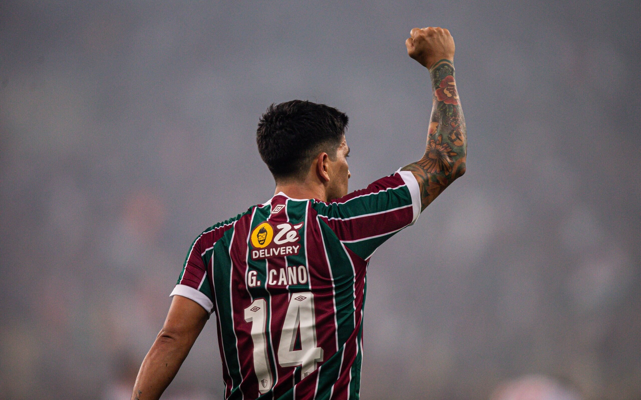 Fábio, do Fluminense, chegará ao 100º jogo de Libertadores na final contra  o Boca; veja recordistas