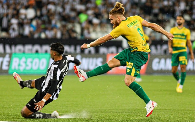 Botafogo x Palmeiras: confira horário, onde assistir, palpites e prováveis  escalações - Jogada - Diário do Nordeste