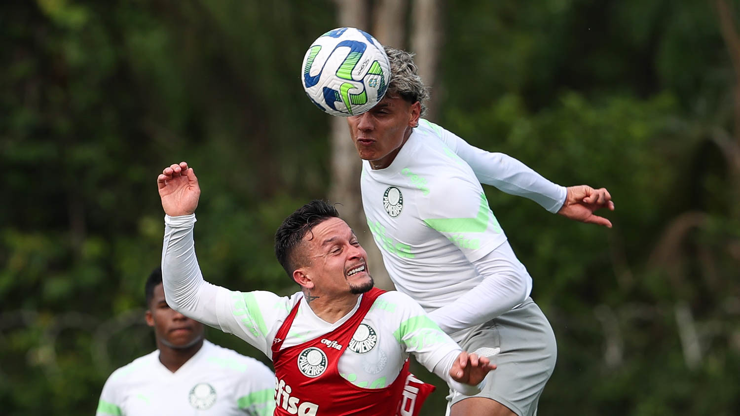 Palmeiras se reapresenta com treino técnico após classificação à