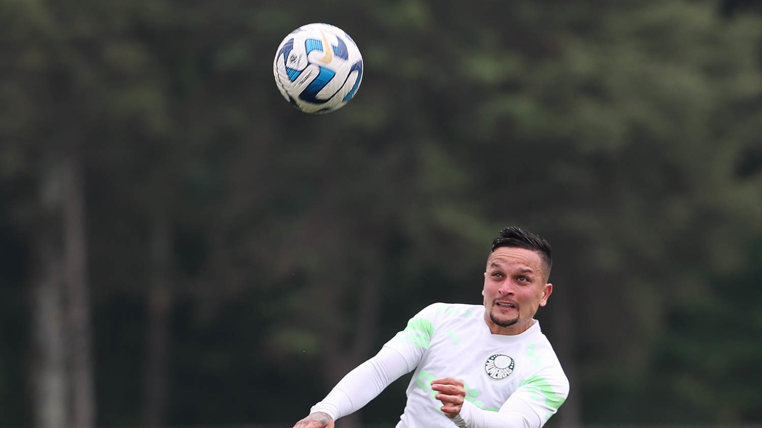 Palmeiras segue preparação, e Abel deve manter titulares para decisão  contra o Boca; veja provável time - Lance!