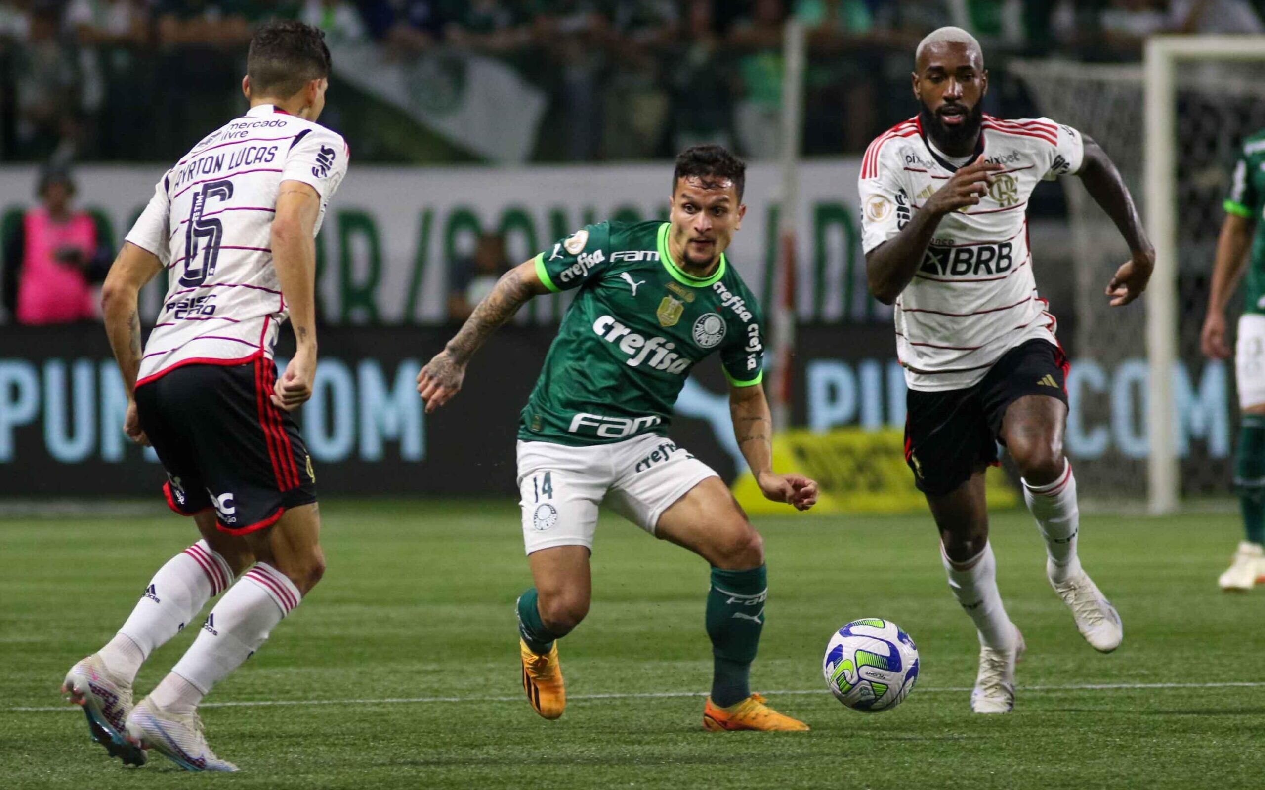 RAIO-X: veja números e comparativos de Flamengo e Palmeiras antes da final  da Libertadores