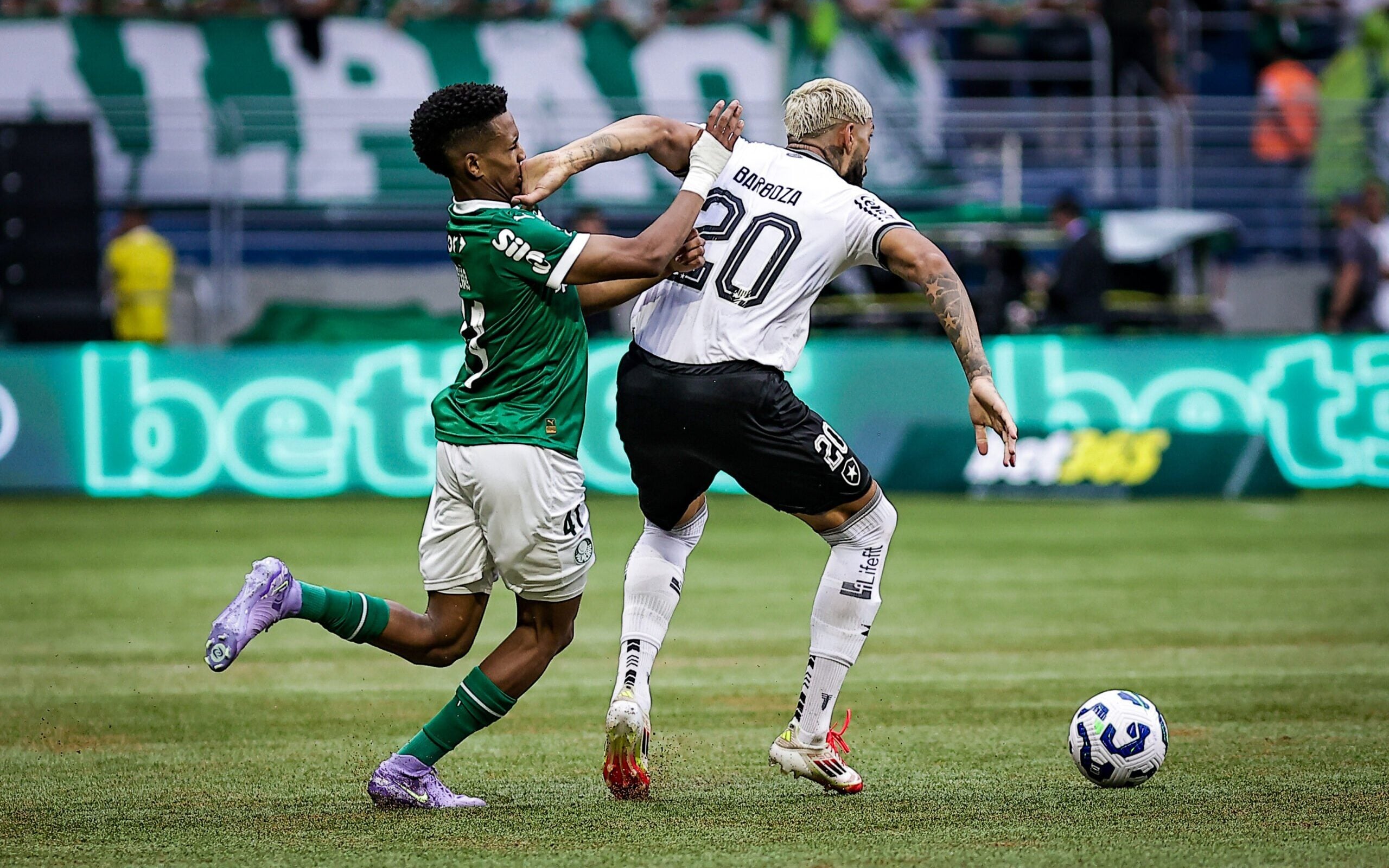 Palmeiras x Botafogo (Foto: Fabio Giannelli/AGIF)